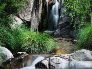 Waterfalls in Madera Canyon - Coronado National Forest