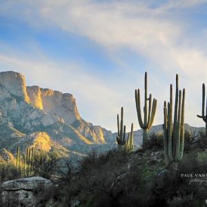 Catalina State Park - Landscape with saguaros and Table Mountain.