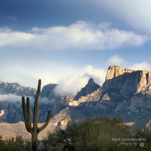 The Santa Catalina Mountains, after a storm. - Tucson, Arizona