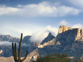 The Santa Catalina Mountains, after a storm. - Tucson, Arizona