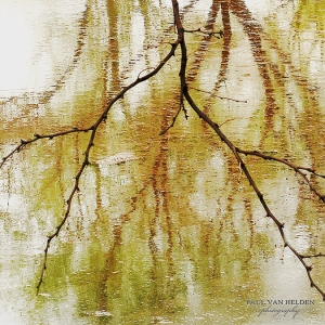 Mesquite Reflections -The wind on the water created a kind of pastel look.