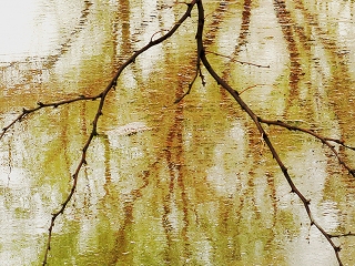 Mesquite Reflections -The wind on the water created a kind of pastel look.