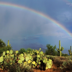 Rainbow in the Sonoran Desert near Tucson, Arizona