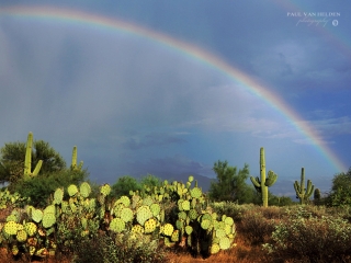 Rainbow in the Sonoran Desert near Tucson, Arizona