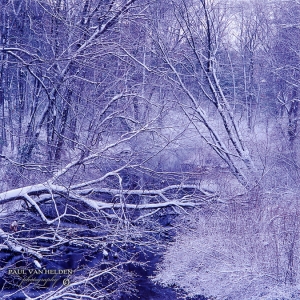 The woods at the beginning of the River Charles River, covered in snow.
