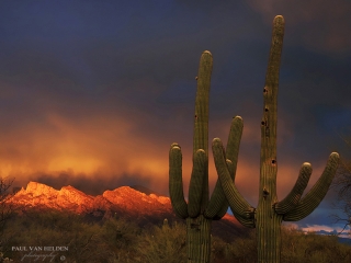 Halo Over the Catalinas - Tucson, Arizona