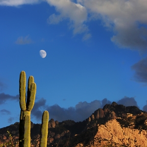 Moonrise at Catalina State Park, Arizona