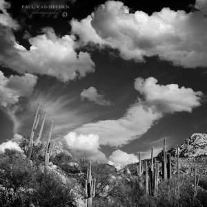 Black and white image of clouds and saguaros at Catalina State Park, in Arizona.