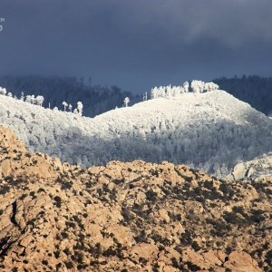 The highest areas in the Catalina Mountains reveal themselves in the winter, with the glisteining white powder we know as snow.