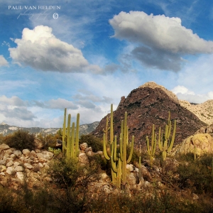 Puffy Clouds, Mountains, Saguaro - Catalina State Park - Tucson, Arizona