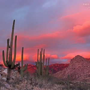 Incredible colors at sundown at Catalina State Park in Arizona
